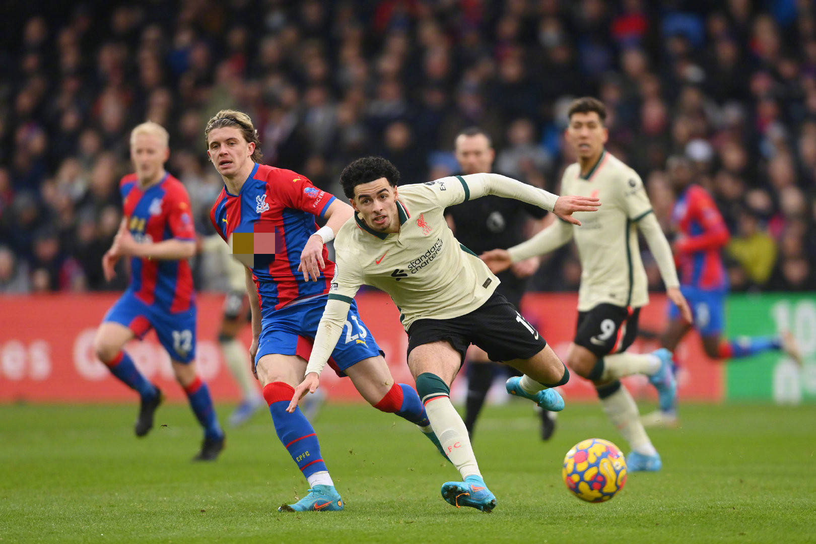 中了解选秀 中了解选秀